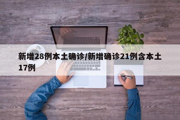 新增28例本土确诊/新增确诊21例含本土17例
